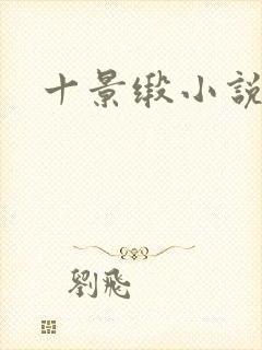 十景缎小说