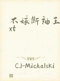 不嫁断袖王爷txt