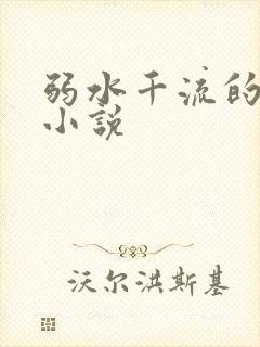 弱水千流的全部小说