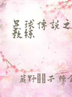 足球传说之传奇教练