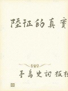 陆征的真实身份