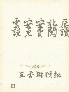 云安安北辰逸小说免费阅读