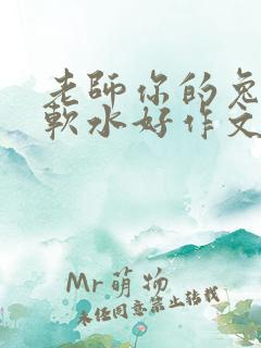 老师你的兔子好软水好作文免费阅读