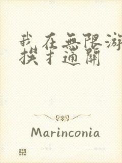 我在无限游戏里挨扌通关