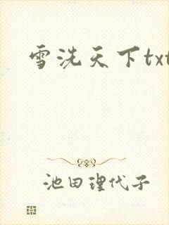 雪洗天下txt