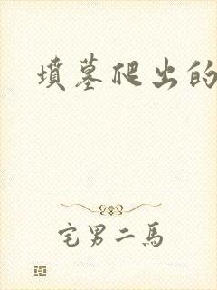 坟墓爬出的士兵