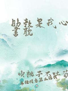 助教是我心尖宠书耽