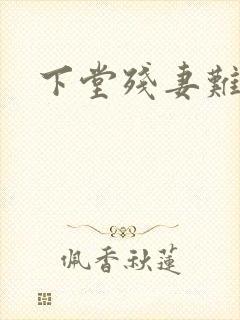 下堂残妻难再娶