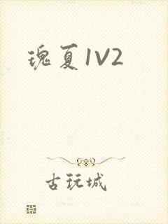 瑰夏1V2