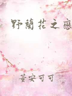 野兰花之恋