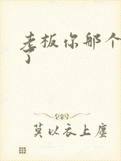 老板你那个太长了