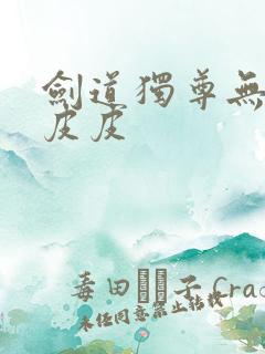 剑道独尊无弹窗皮皮