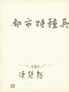 都市特种兵任天