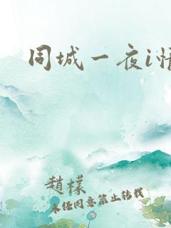 同城一夜i情