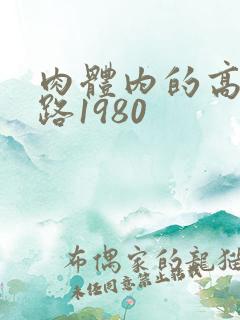 肉体内的高速公路1980