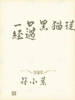 一只黑猫从眼前经过
