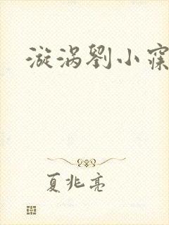漩涡刘小寐