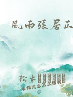 风雨张居正下载