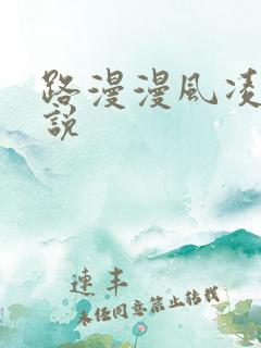 路漫漫风凌轩小说