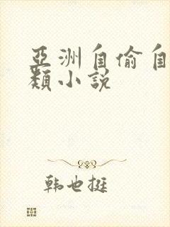 亚洲自偷自拍另类小说