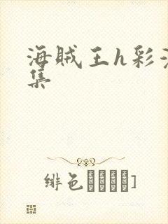 海贼王h彩漫画集