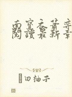 南宝衣萧弈免费阅读最新章节