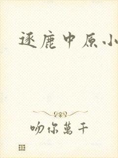 逐鹿中原小说