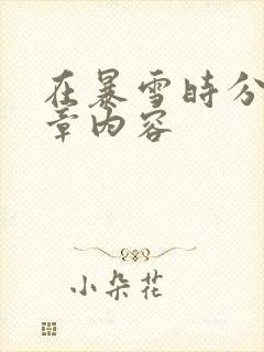 在暴雪时分54章内容