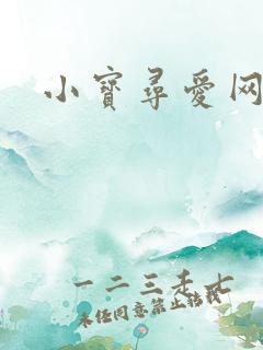 小宝寻爱网址