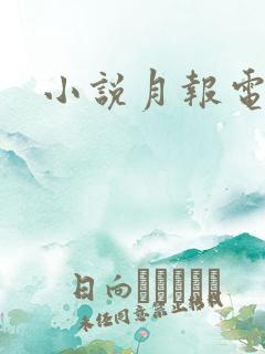 小说月报电子版