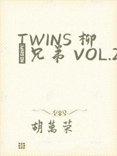 TWINS 柳澤兄弟 VOL.2