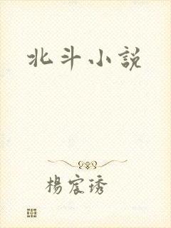 北斗小说