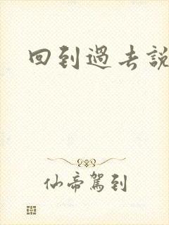 回到过去说爱你