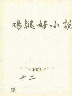 鸡腿好小说网