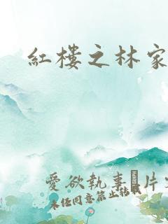 红楼之林家有妻