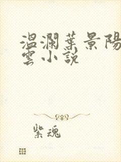 温澜叶景阳温云云小说