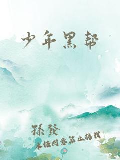少年黑帮