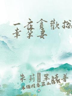 一夜贪欢总裁的幸孕妻