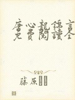 唐心龙锦言小说免费阅读全文