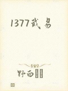 1377武易