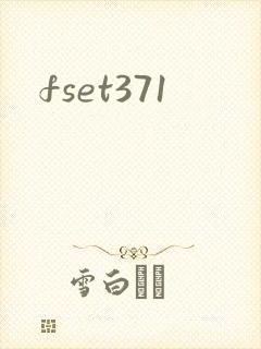fset371