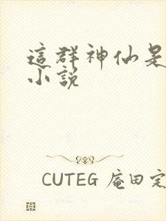 这群神仙是假的小说