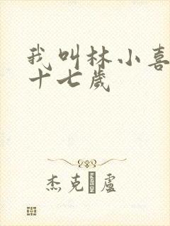 我叫林小喜今年十七岁