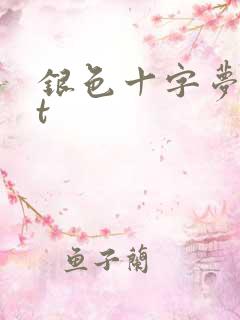 银色十字梦txt