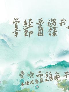 曾经爱过我刘念章节目录