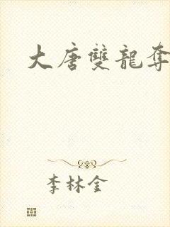 大唐双龙夺艳记