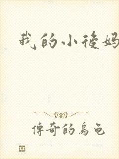 我的小后妈小说