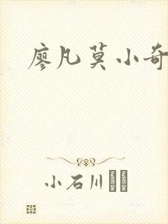 廖凡莫小奇