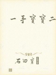 一手宝宝二手妻