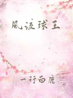 风流球王